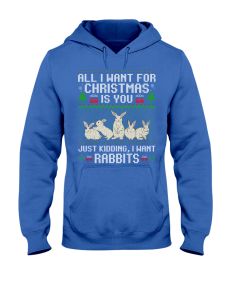 Farmer Rabbit - All I Want For Chirstmas Is You Hoodie