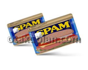 Spam Credit Card Skin