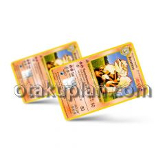 Arcanine Card Credit Card Skin